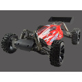 1:5 Scale 2WD Buggy Brushless ARR
